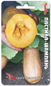 Тыква Пастила Шампань 5шт купить