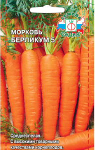 Морковь Берликум 5 купить