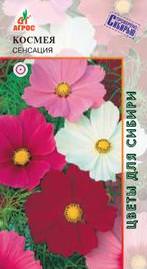 Космея Сенсация  купить