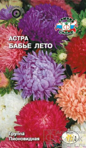 Астра Бабье лето купить