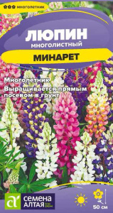 Люпин Минарет  многолетник купить