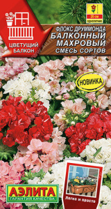 Флокс Балконный махр., смесь друммонда купить