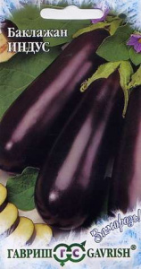 Баклажан Индус  купить