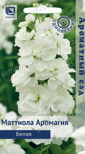 Маттиола Ароматный Букет Белый купить