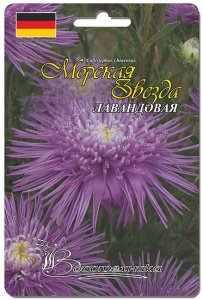 Астра Морская Звезда Лавандовая 40 шт купить