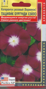 Катарантус розовый (Барвинок) Пацифик Бургунди Хэйло  купить