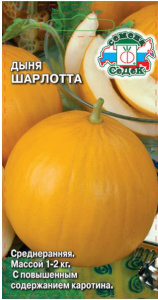 Дыня Шарлотта  купить