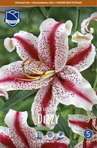 Лилия восточная Dizzy /3шт купить