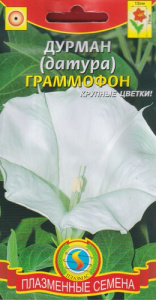 Датура (Дурман) Граммофон купить