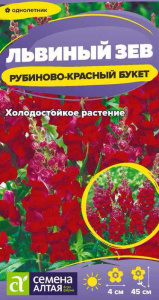 Львиный зев Рубиново-красный букет купить