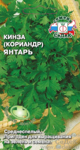 Кориандр Янтарь купить