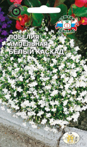 Лобелия Каскад Белый ампельная купить