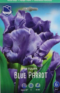Тюльпан попугайный "Blue Parrot" (1х10шт) купить