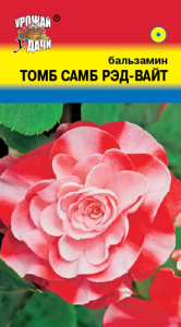 Бальзамин Том Самб Рэд-Вайт 0.2г купить