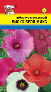 Гибискус Диско Белл F1, микс  купить