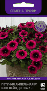 Петуния Шок Вейв F1 Дип Парпл ампельная  купить