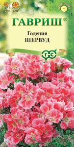 Годеция Шервуд махровая  купить