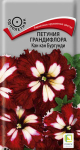 Петуния Кан кан F1 бургунди купить