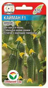 Огурец Кайман F1  купить