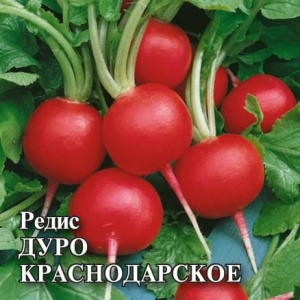 Редис Дуро Краснодарское 25г купить