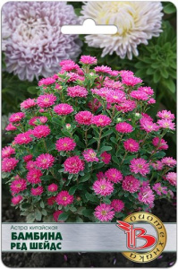 Астра Бамбина Ред Шейдс китайская купить
