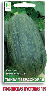 Тыква Грибовская кустовая 189 твердокорая  купить