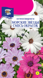 Остеоспермум МОРСКИЕ ЗВЁЗДЫ смесь купить