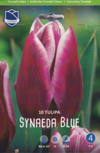 Тюльпан триумф "Synaeda Blue" (1х10шт) купить
