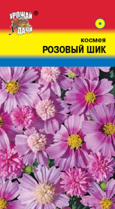 Космея Розовый шик  купить