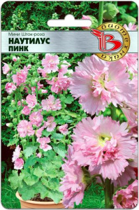 Мини Шток-Роза Наутилус Пинк  купить
