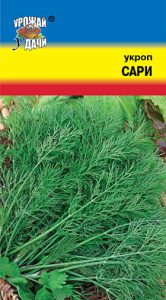 Укроп Сари кустовой  купить
