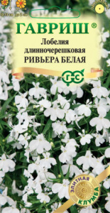Лобелия Ривьера Белая  купить