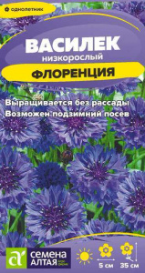 Василек Флоренция низкорослый купить