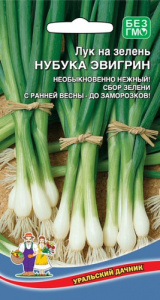 Лук Нубука Эвергрин, на зелень купить