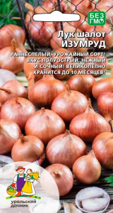 Лук (шалот) Изумруд купить