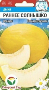 Дыня Раннее солнышко купить