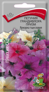 Петуния Ярмарка тщеславия купить