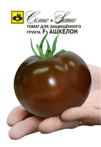Томат Ашкелон  F1 купить