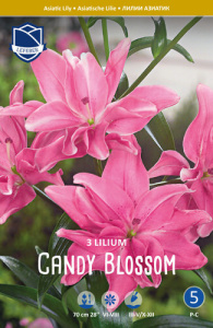 Лилия азиатская double Candy Blossom /3шт купить