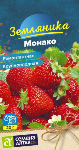 Земляника Монако ремонтантная крупноплодная купить