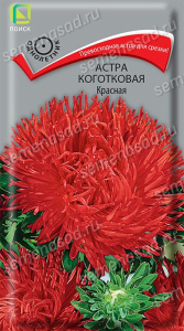 Астра Красная коготковая купить