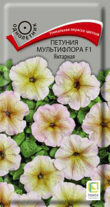Петуния Янтарная F1 мультифлора купить