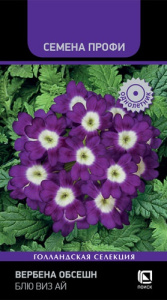 Вербена Обсешн Блю виз Ай купить