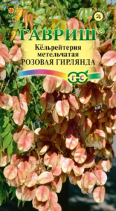Кёльрейтерия Розовая гирлянда, метельчатая  купить