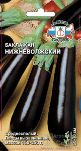 Баклажан Нижневолжский  купить