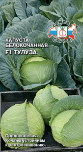 Капуста Тулуза  купить