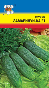 Огурец Замаринуй-ка F1  купить