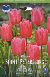 Тюльпан триумф "Saint Petersburg" (1х10шт) купить