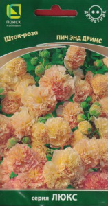 Шток-роза Пич энд Дримс  купить
