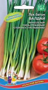 Лук Валдай батун купить